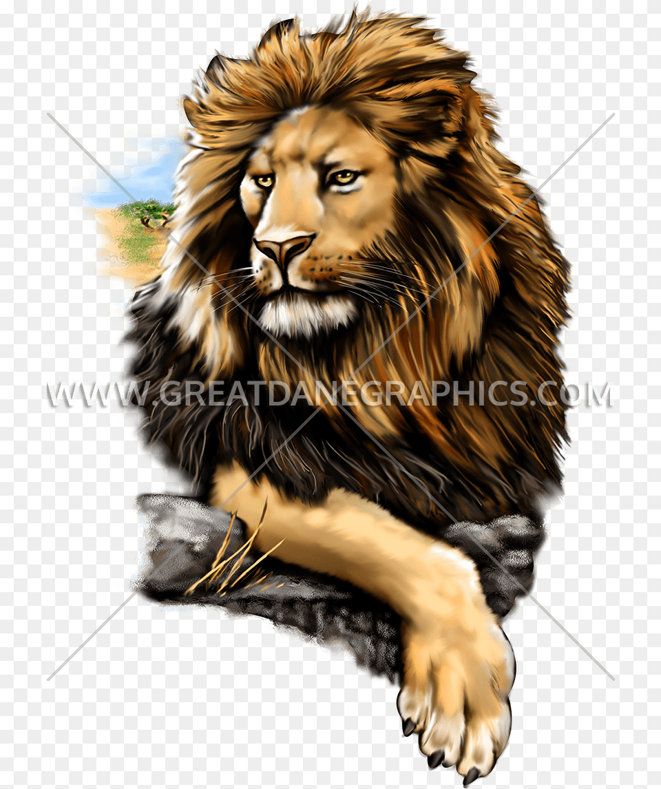 Proud Lion T Shirt, Animal, Mammal, Wildlife, Face Free Png