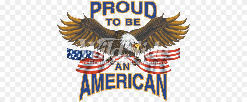 Proud To Be An American Women39s Juniors T Shirt Proud, Animal, Bird, Eagle Png