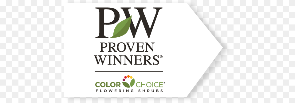 Proven Winners Flowering Shrubs Proven Winners Colorchoice, Leaf, Plant, Advertisement, Logo Png