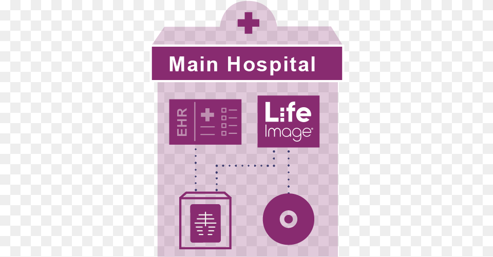 Provider Exchange Life Vertical, Purple, Text Png Image