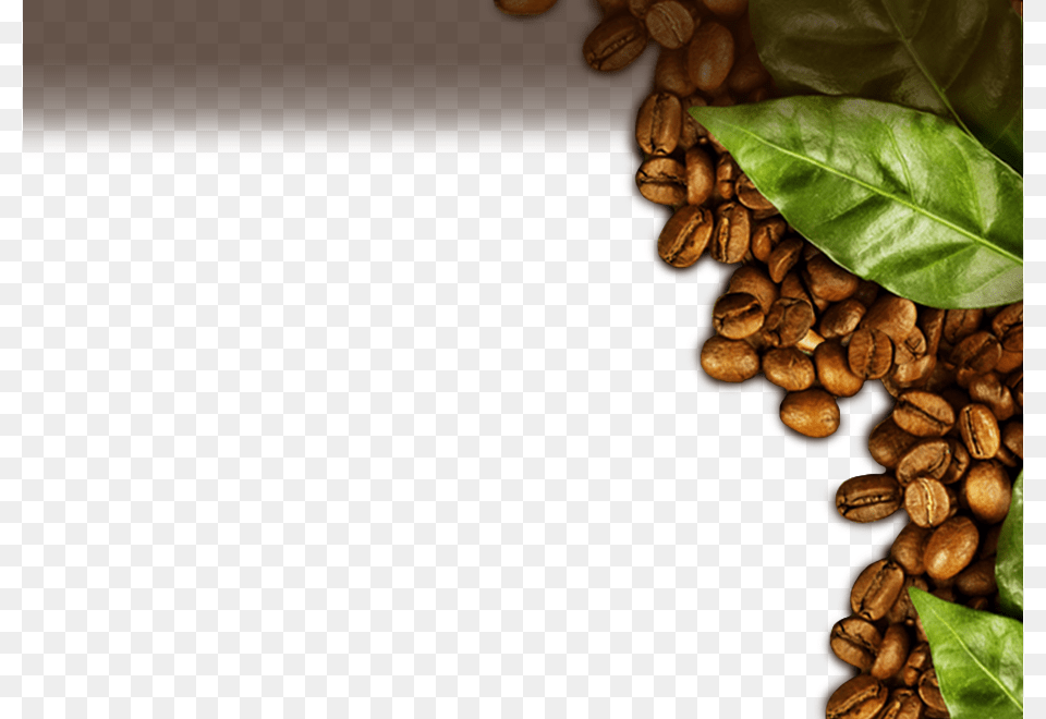 Prueba Nuestros Deliciosos Cafs Coffee, Beverage, Coffee Beans Png Image