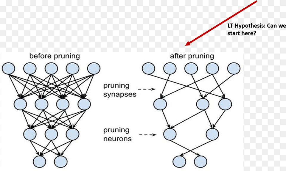 Pruning Neural Network, Cable, Power Lines Free Transparent Png