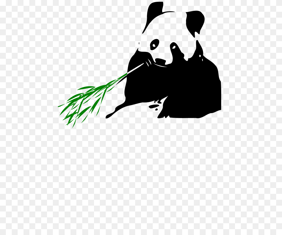 Przemyslaw Panda Bear, Dill, Food, Plant, Seasoning Free Transparent Png