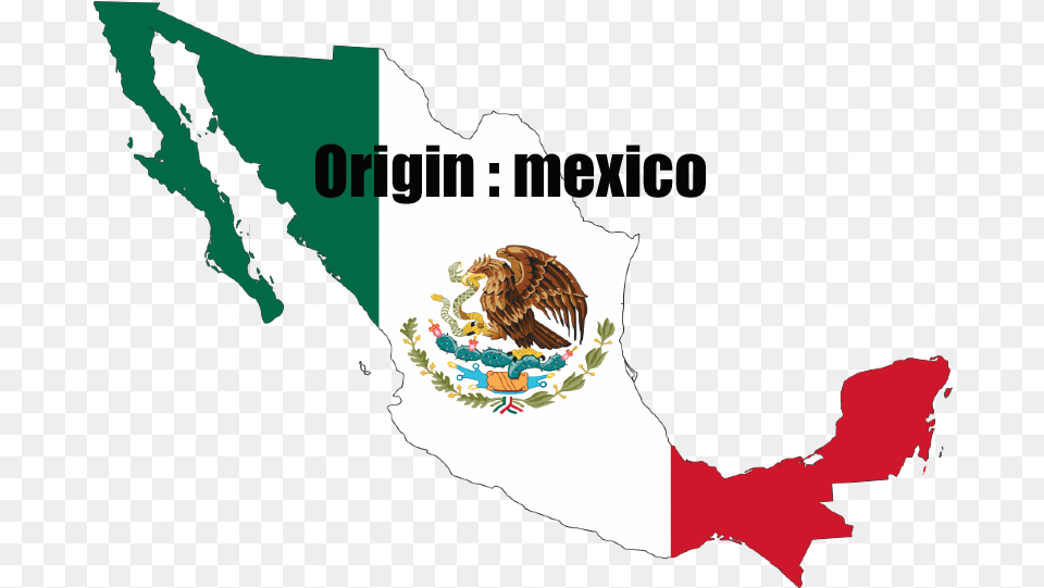 Psaoil Bandera De Mexico, Adult, Bride, Female, Person Png