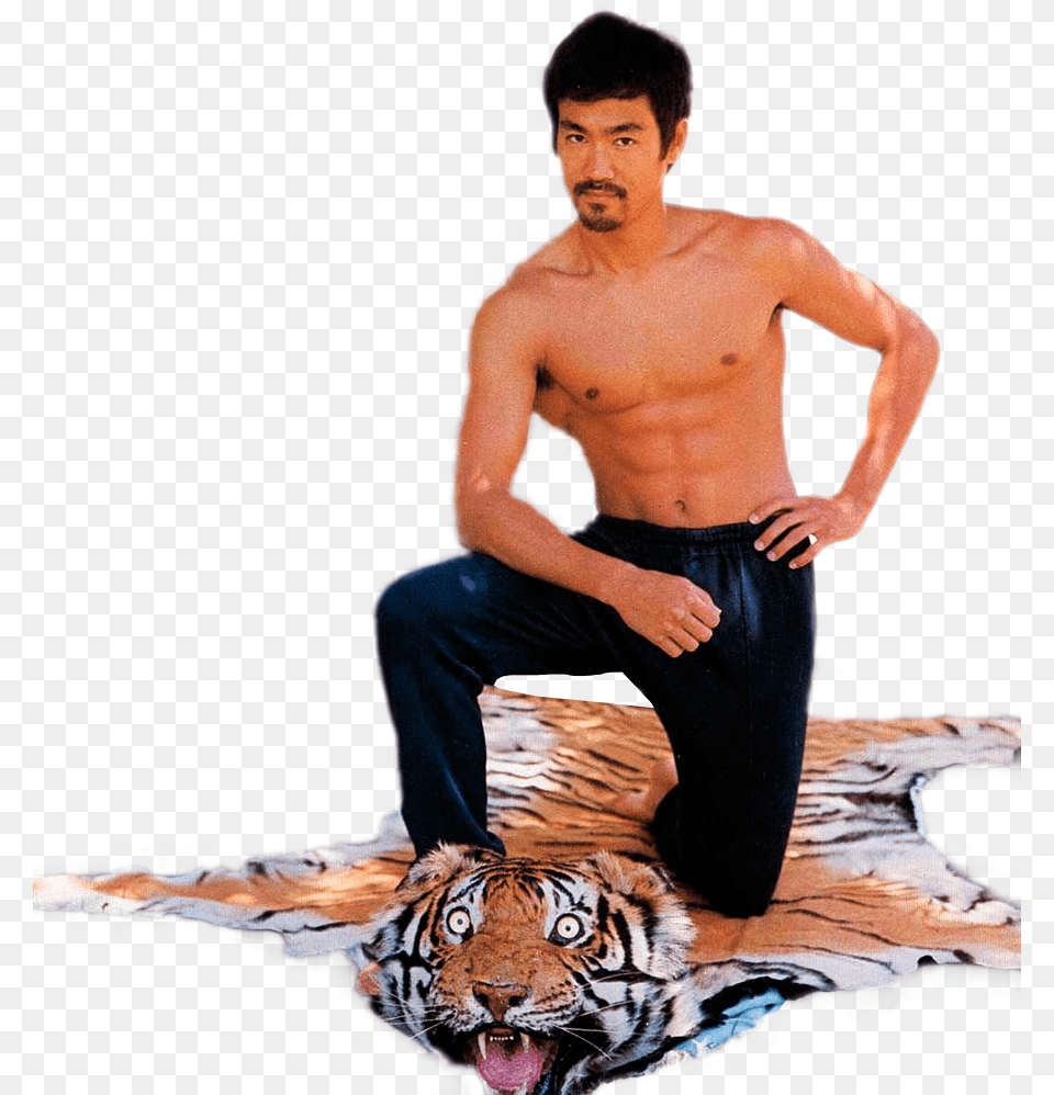 Psbattle Bruce Lee Taking A Knee On A Shocked Looking Tiger Skin, Portrait, Clothing, Face, Photography Png