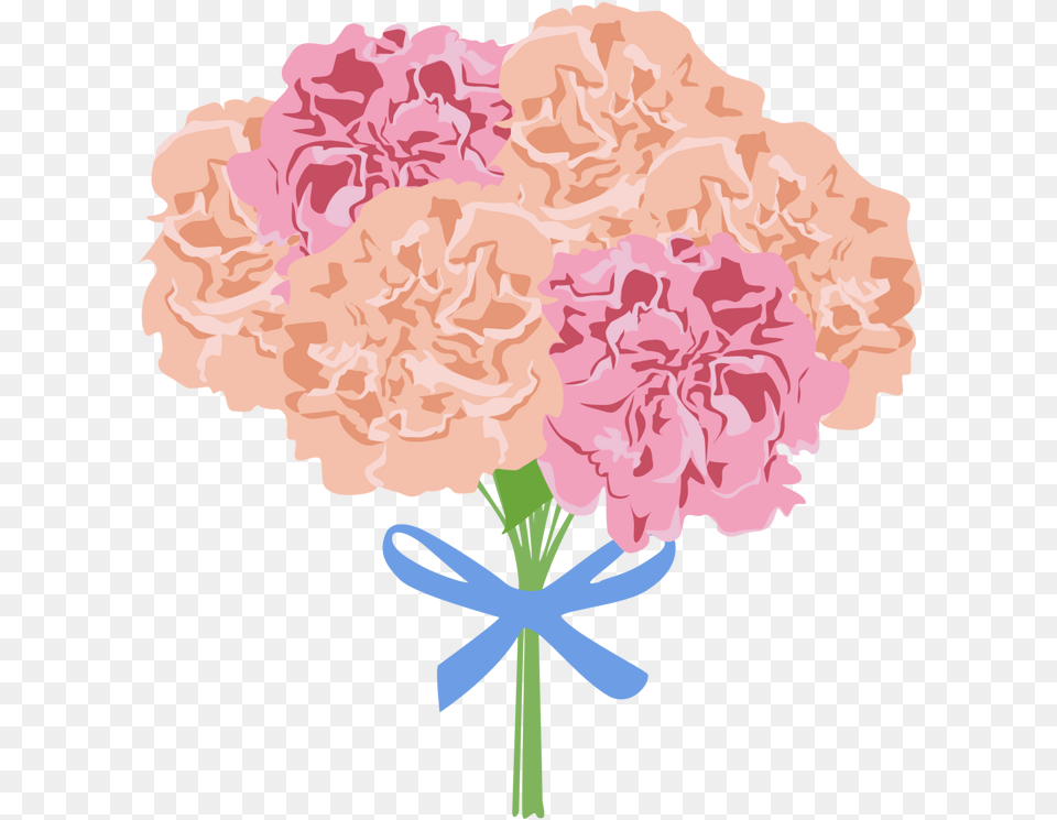 Psd Bouquet, Carnation, Flower, Plant, Rose Free Transparent Png