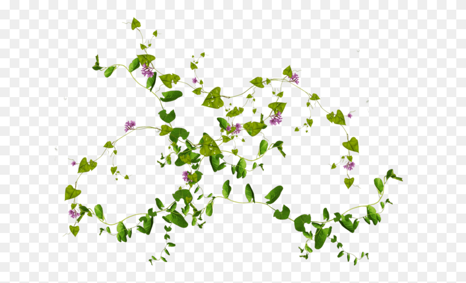 Psd Flowers And Leaves, Plant, Purple, Flower, Vine Png Image