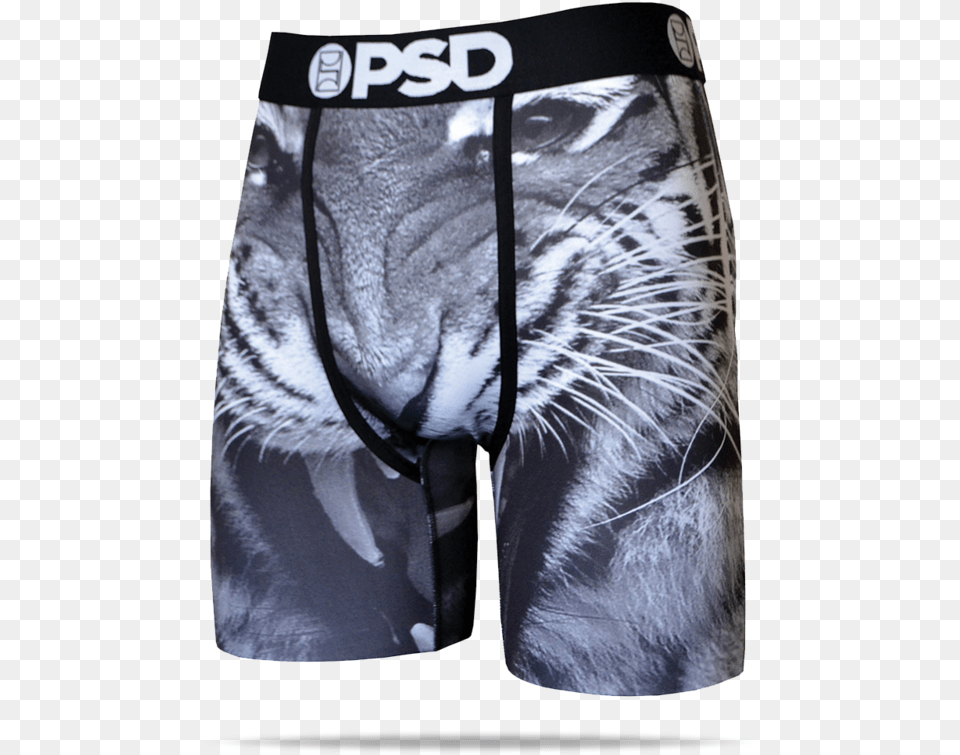 Psd Mens Jimmy Butler Signature Line Tiger Patch Athletic Psd Underwear Tiger, Animal, Cat, Mammal, Pet Png