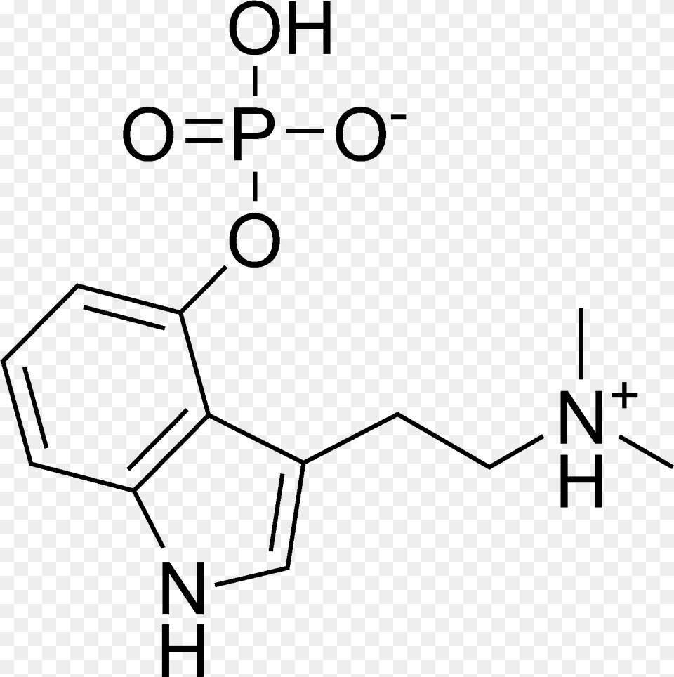 Psilocybin Chemical Structure 4 Aco Dmt Molecule, Gray Free Png Download