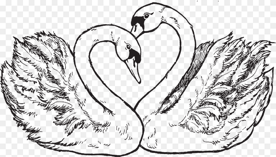 Psx Designs Heart Swans Psx Rubber Stamp, Animal, Bird, Swan Free Transparent Png