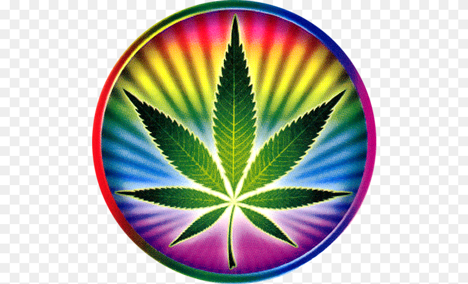 Psychedelic Pot Leaf, Herbal, Herbs, Plant, Weed Free Transparent Png