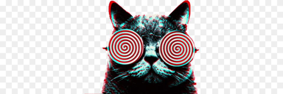 Psychedelic Trippy Cat Sticker Acid Cats Dmt Lsd Gif Lsd Gif, Animal, Mammal, Pet Free Png Download