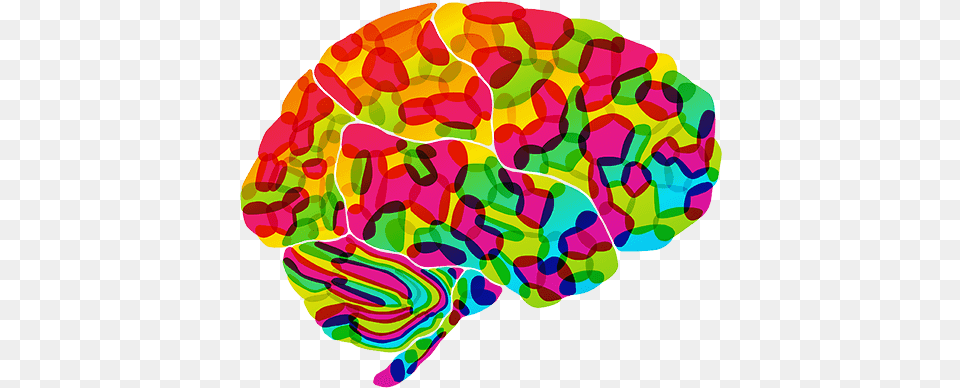 Psychology Brain Background Colorful Brain Clipart, Animal, Water, Sea Life, Sea Png