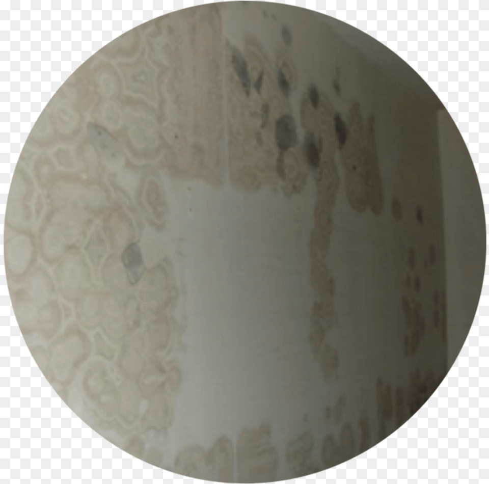 Ptac Wall Mold Picture2x Circle, Disk Free Png