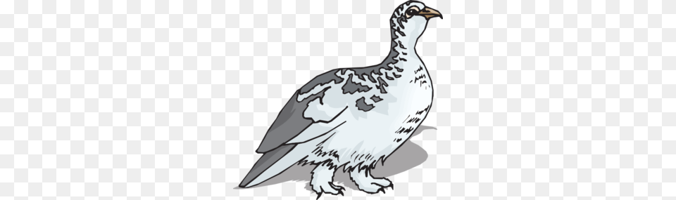 Ptarmigan Clip Art, Animal, Bird, Grouse, Blade Png