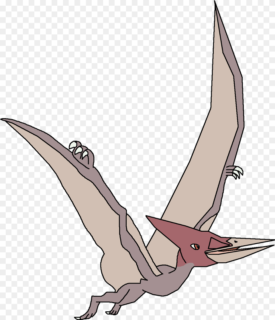 Pteranodon Download Dinosaur Pedia Pteranodon, Animal, Bird, Flying, Fish Free Transparent Png