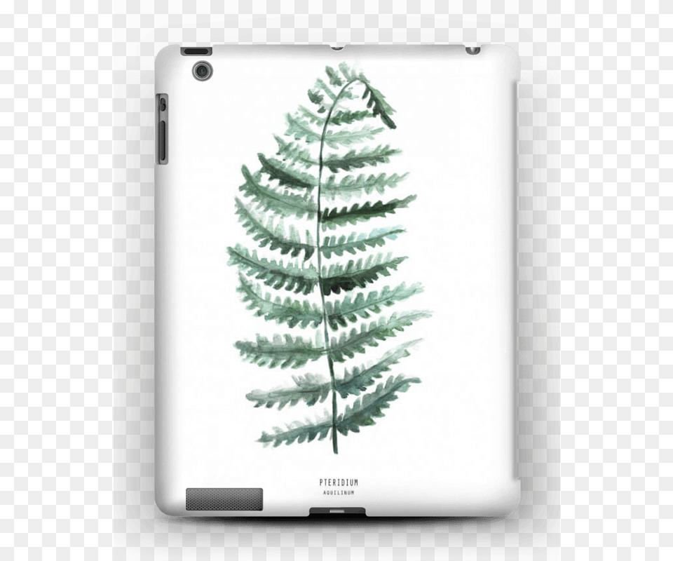 Pteridium Aquilinum Case Ipad 432 Ipad, Plant, Tree, Fern, Computer Free Png