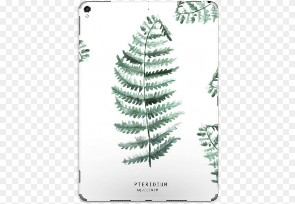 Pteridium Aquilinum Skin Ipad Pro Ipad, Fern, Leaf, Plant, Animal Free Transparent Png