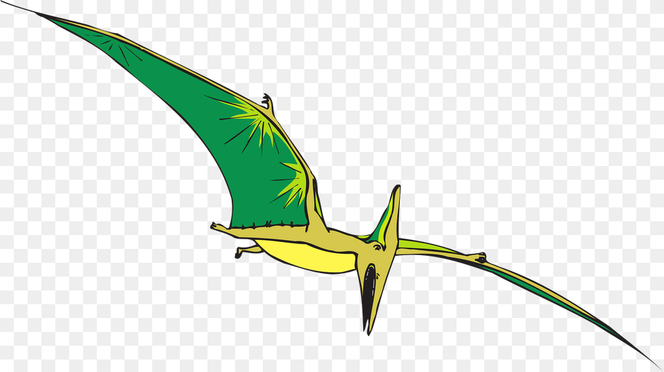 Pterodactyl Clipart, Animal, Bird, Flying, Blade Png