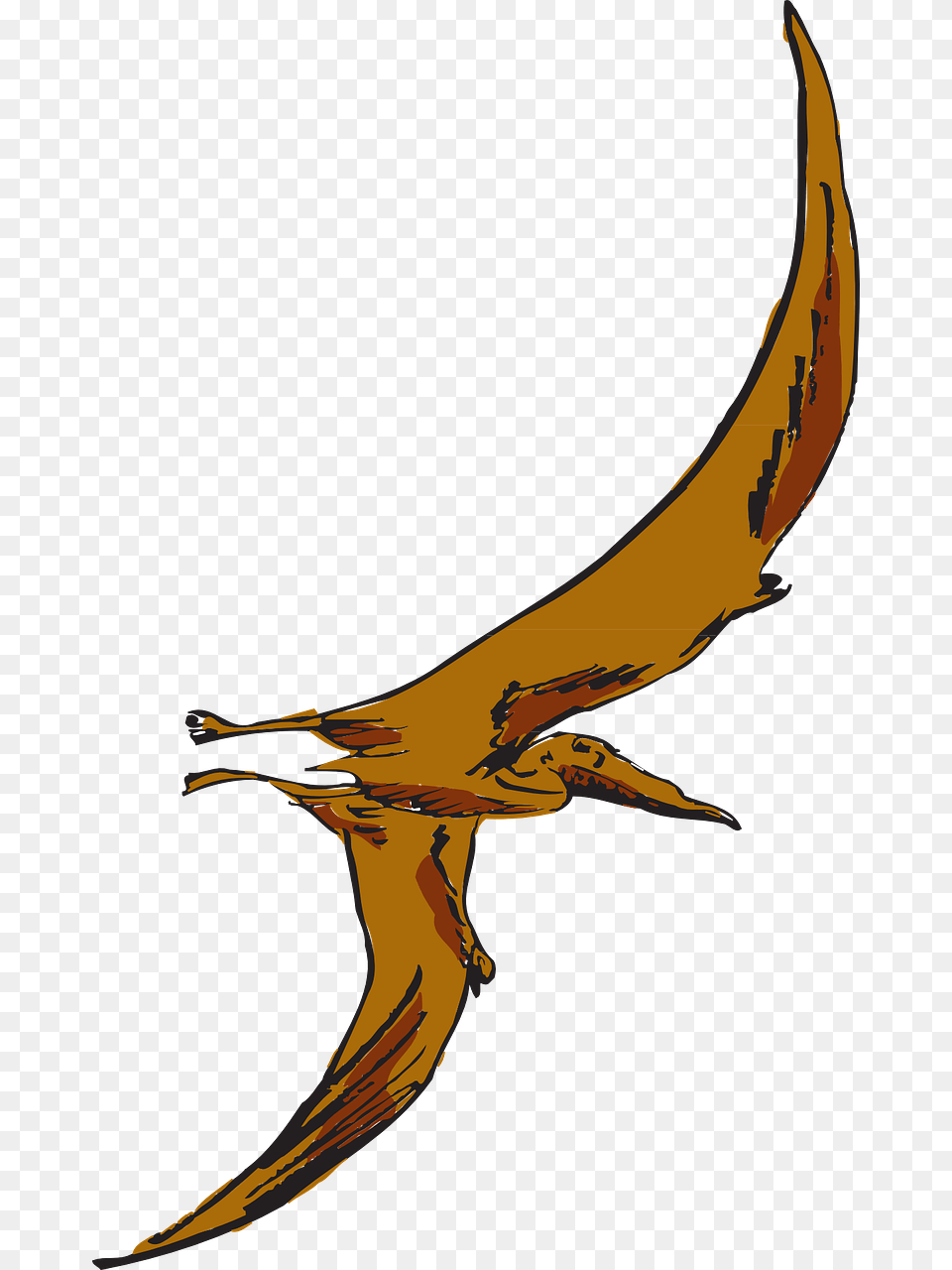 Pterodactyl Clipart Transparent Brown Pterodactyl, Animal, Sea Life, Fish, Dinosaur Free Png Download