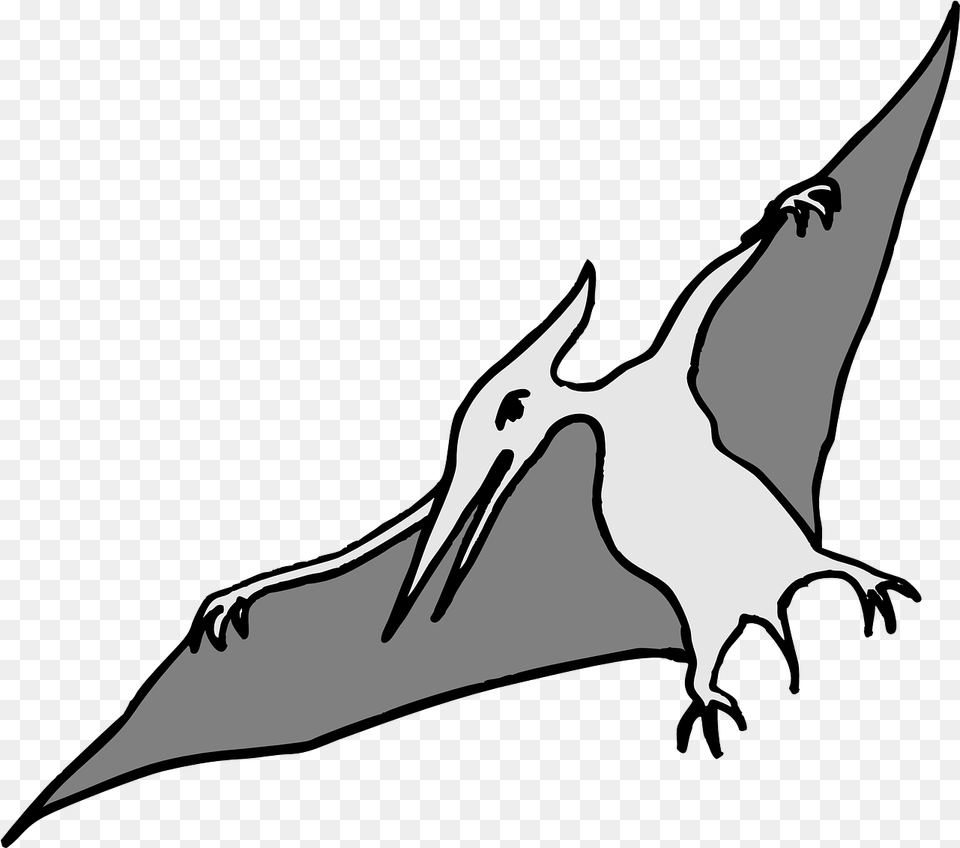 Pterodactyl Dinosaur Bird Pterodactyl Clip Art, Adult, Female, Person, Woman Png