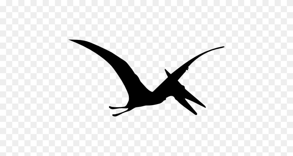 Pterodactyl Dinosaur Bird Shape, Animal, Flying, Silhouette, Bow Png