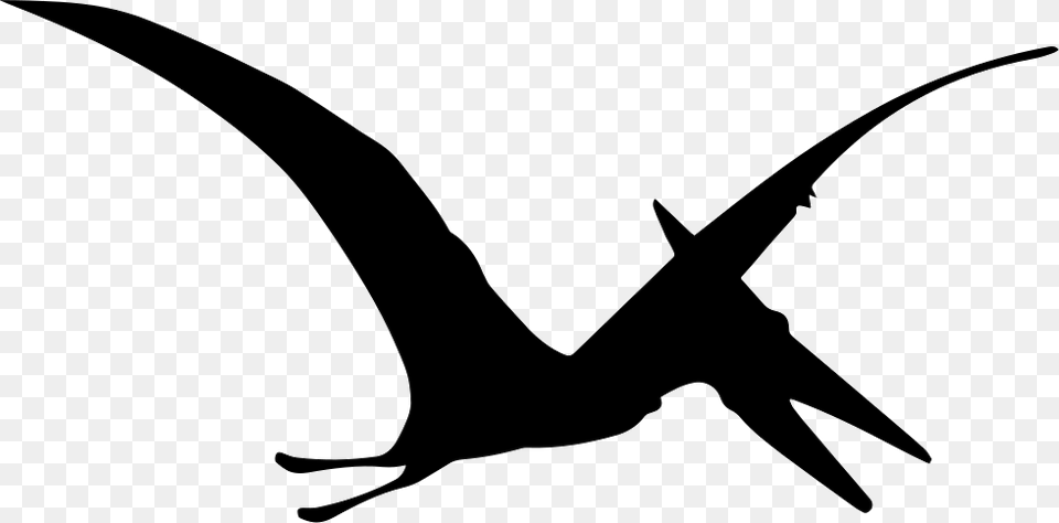 Pterodactyl Dinosaur Bird Shape Pterodactyl Clipart Black And White, Animal, Flying, Silhouette, Stencil Free Png