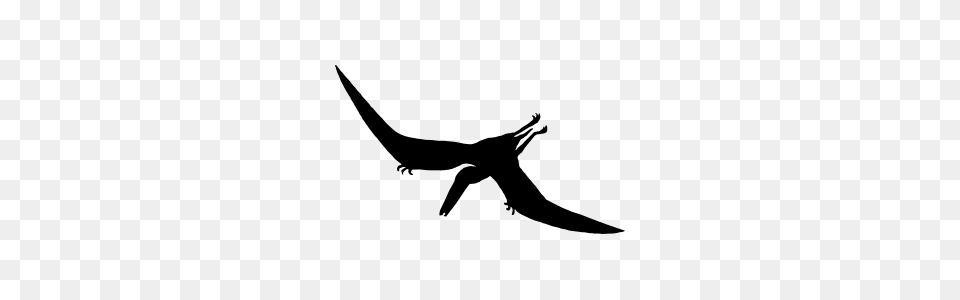 Pterodactyl Dinosaur Flying Sticker, Silhouette, Stencil, Animal, Fish Free Png Download