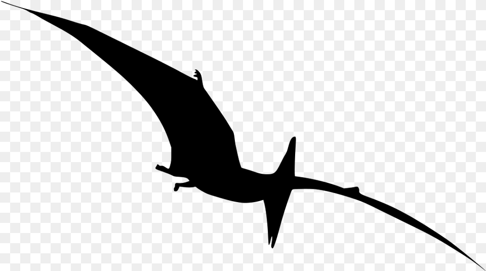 Pterodactyl Dinosaur Silhouette, Gray Free Transparent Png