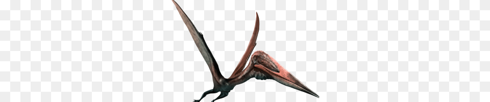 Pterodactyl Image, Blade, Dagger, Knife, Weapon Free Transparent Png