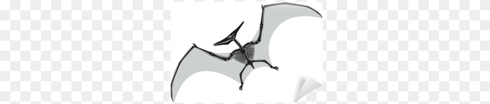 Pterodactyl Skeleton, Animal, Wildlife, Mammal Free Png Download