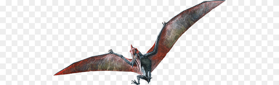 Pterodactyl Transparent Jurassic World Jurassic World Fallen Kingdom Pteranodon, Accessories, Ornament, Art, Animal Free Png Download