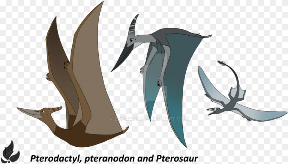 Pterosaurs Background For Designing Work Pterodactyl And Pteranodon Difference, Animal, Fish, Sea Life, Shark Free Png