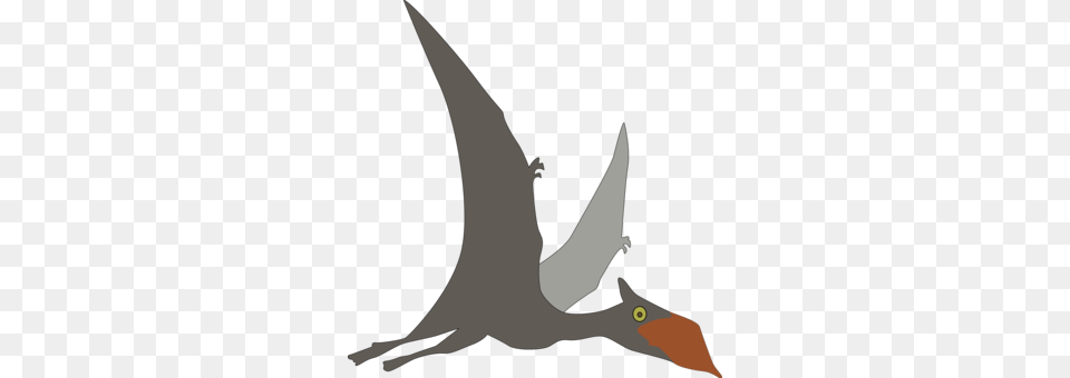 Pterosaurs Pterodactyl Dinosaur Stegosaurus Anhanguera, Animal, Beak, Bird, Flying Png