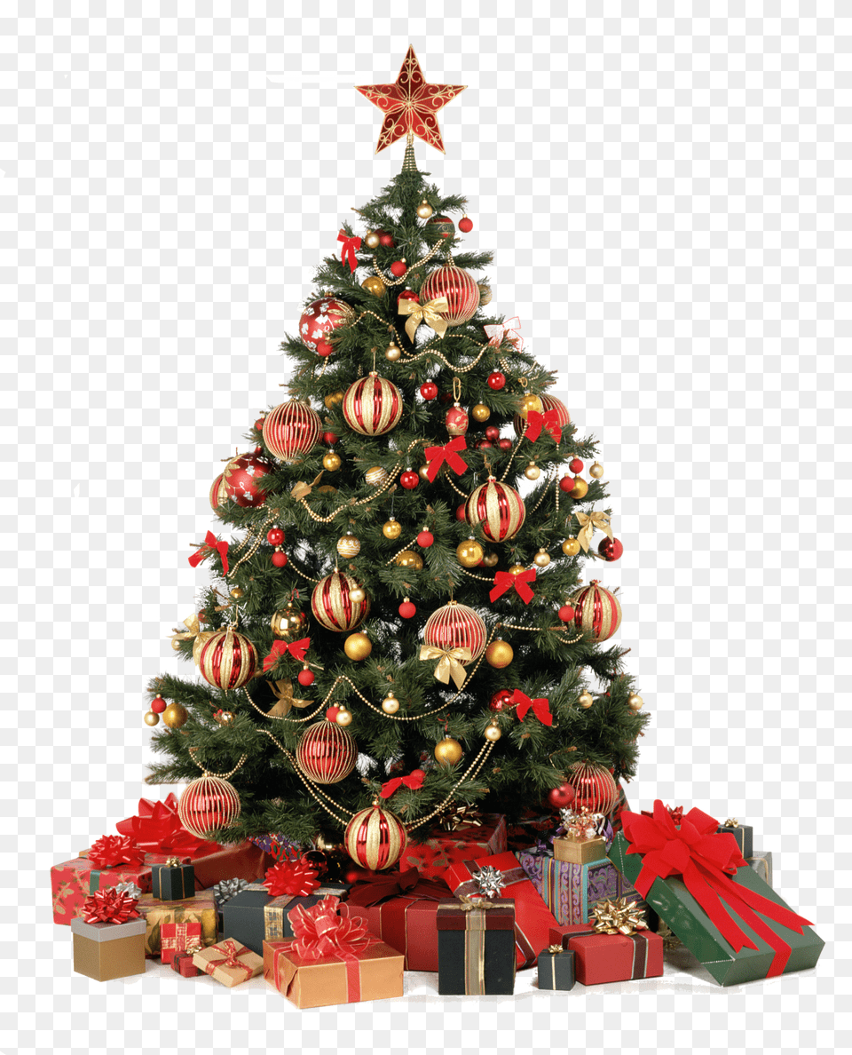 Pubblicato Christmas Tree Decorated In Red And Gold, Christmas Decorations, Festival, Plant, Christmas Tree Png Image