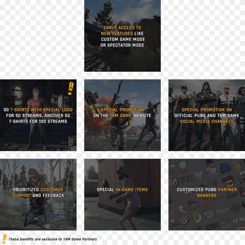 Pubg Partner Application Form Twitchtv, Poster, Advertisement, Art, Collage Png