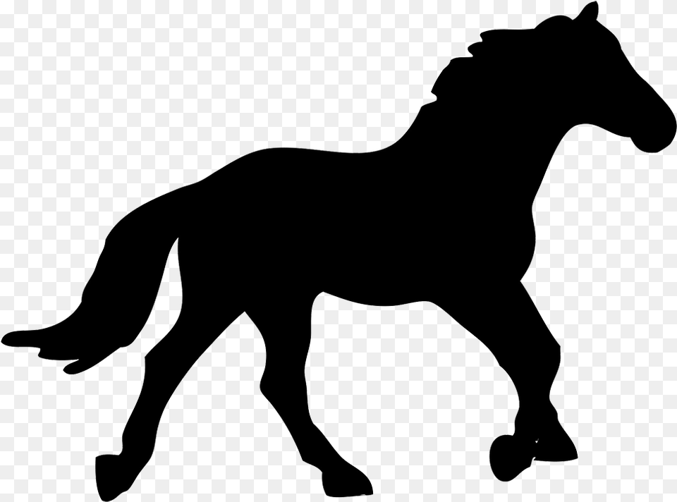 Public Domain Horse Silhouette, Animal, Colt Horse, Mammal, Person Png Image