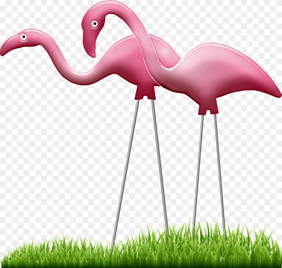 Public Domain Lawn Plastic Flamingo, Animal, Bird Free Png Download