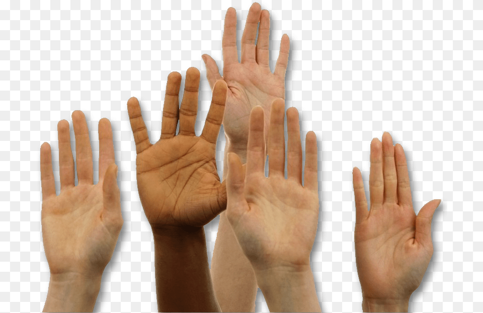 Public Involvement Hands Raised Photo Transparent, Body Part, Finger, Hand, Person Free Png Download