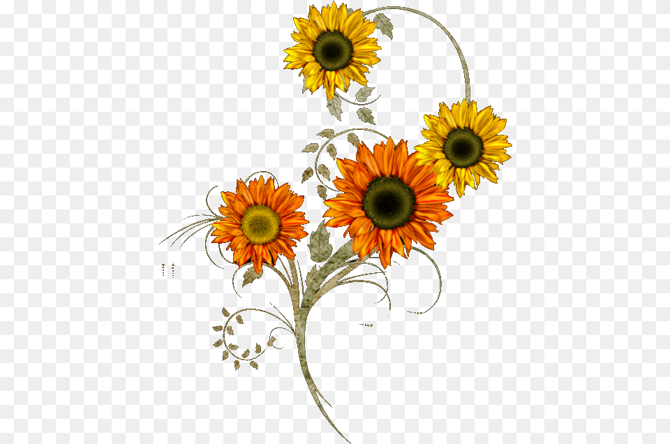 Publicado Por Amantisimocorazon Sunflower Thanksgiving Clipart, Flower, Plant, Pattern, Art Free Png