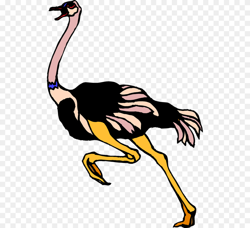 Publicat De Eu Ciresica La Common Ostrich Vector, Person, Animal, Beak, Bird Png