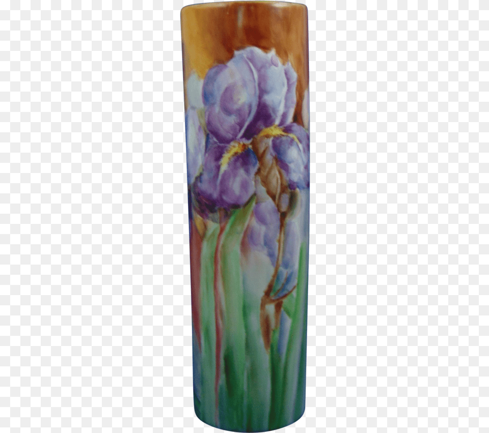 Publicat De Eu Ciresica La Iris, Pottery, Flower, Jar, Plant Png Image