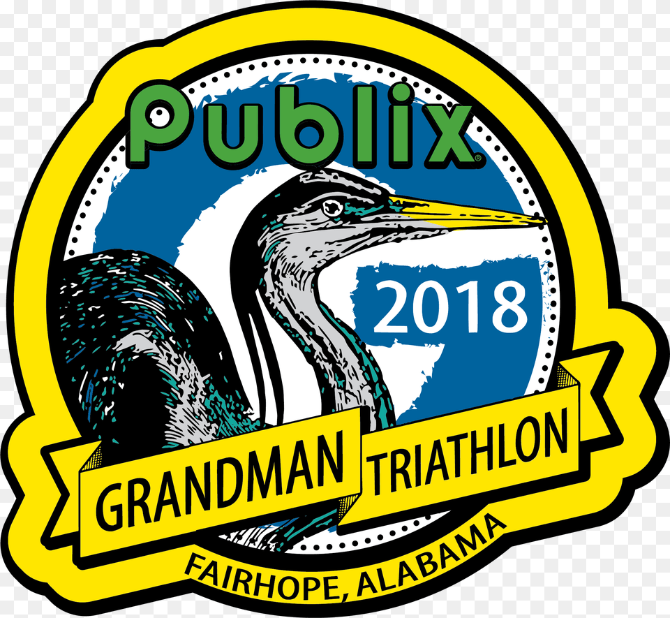 Publix Grandman Triathlon, Animal, Waterfowl, Cormorant, Bird Free Png Download