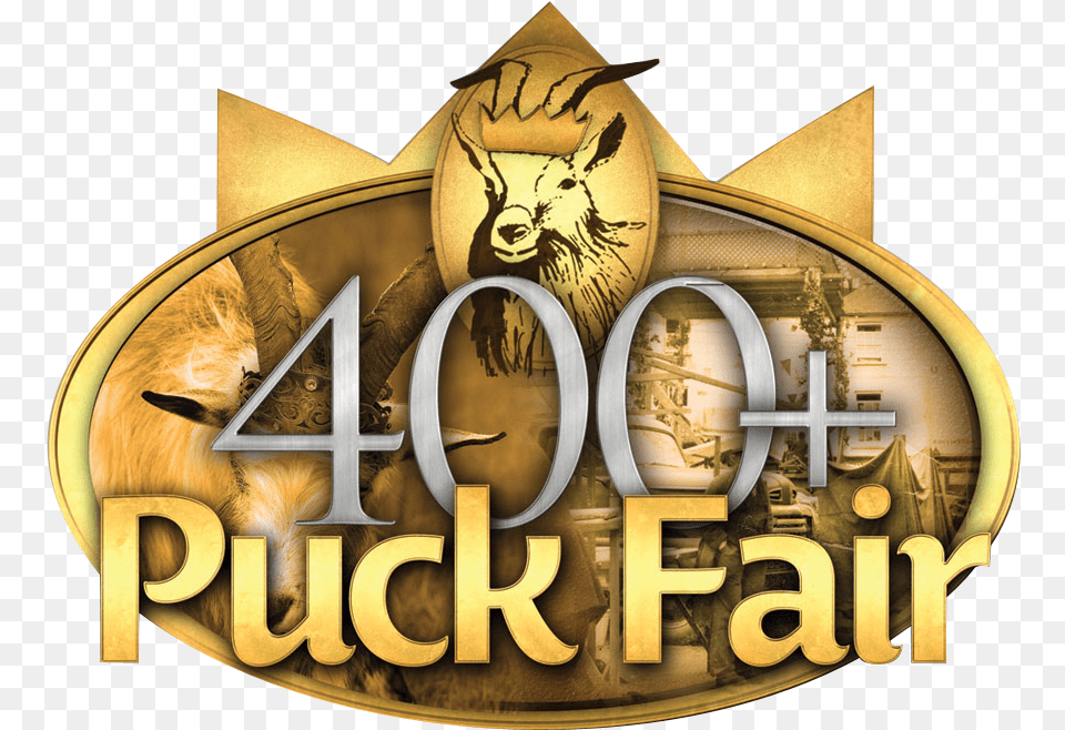 Puck Fair Concludes Tonight With Dethronement Ceremony Puck Fair 2016, Book, Publication, Logo, Wasp Free Png