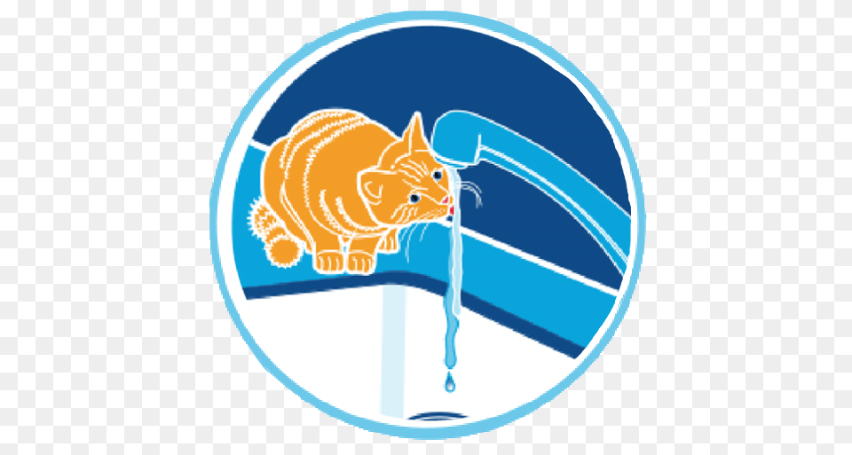 Puddle Clipart Water Bill, Animal, Cat, Mammal, Manx Free Transparent Png