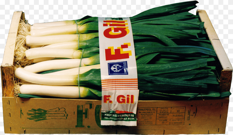 Puerros F Gil Leek, Food, Plant, Produce, Vegetable Png