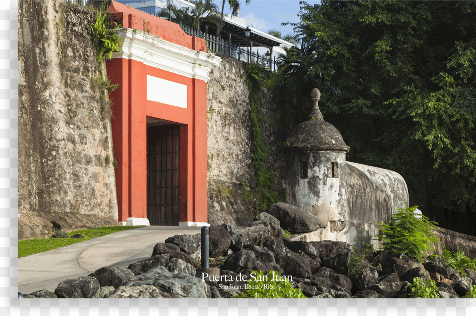 Puerta De San Juan, Beverage, Coke, Soda, Can Free Transparent Png