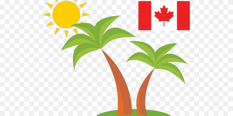 Puerto Rico Clipart Palm Tree Canada Flag Canada Flag, Leaf, Plant, Logo, Potted Plant Png
