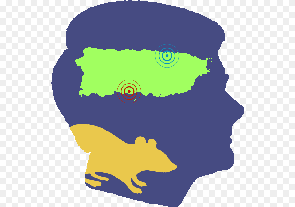 Puerto Rico Map With Cities, Baby, Person, Animal Free Transparent Png