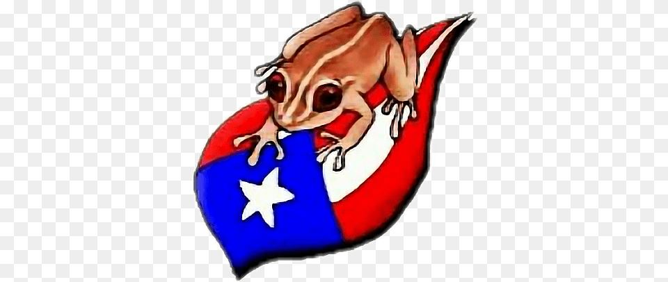 Puertorico Bandera Coqui, Baby, Person Free Png Download